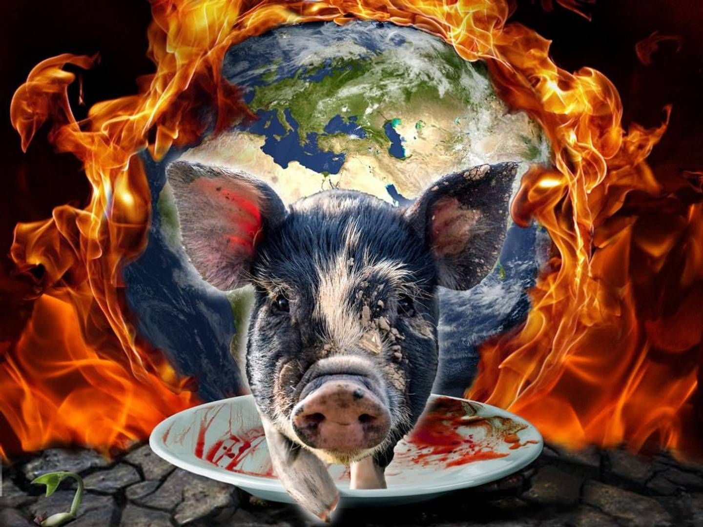 2022-12-05---i-could-never-go-vegan-jpg-imagine-080808_6c4836_1024_768