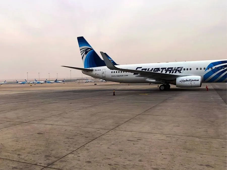 2023-09-19---egyptair-abdelkareem10-pixabay-affentransporte-peta-jpg-imagine-887868_a79a93_1024_768