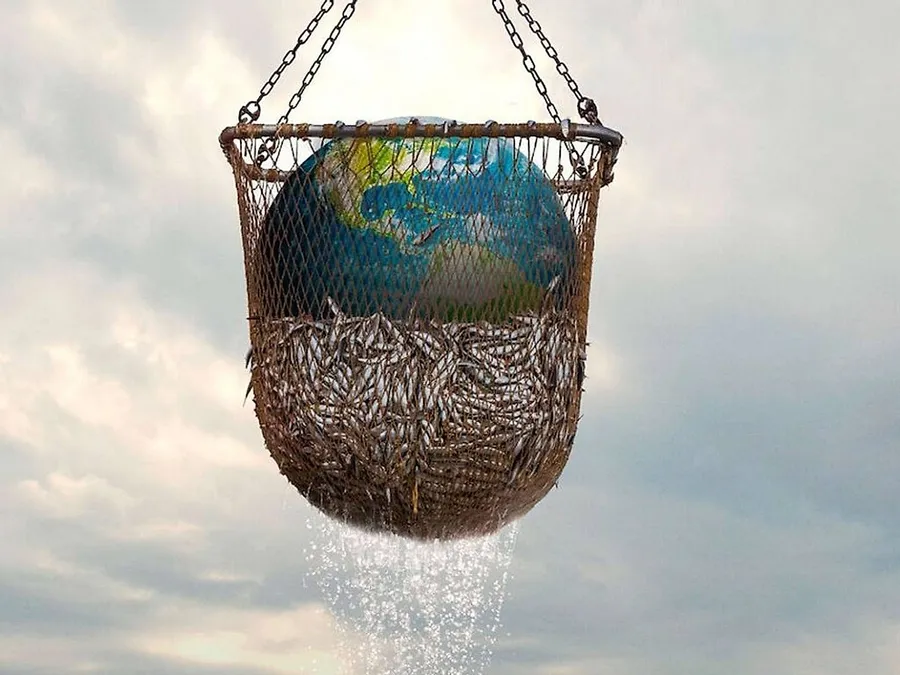 2024-04-04---seaspiracy-soundsvegan-com-jpeg-imagine-c8c8c8_b3b3ad_1960_1470