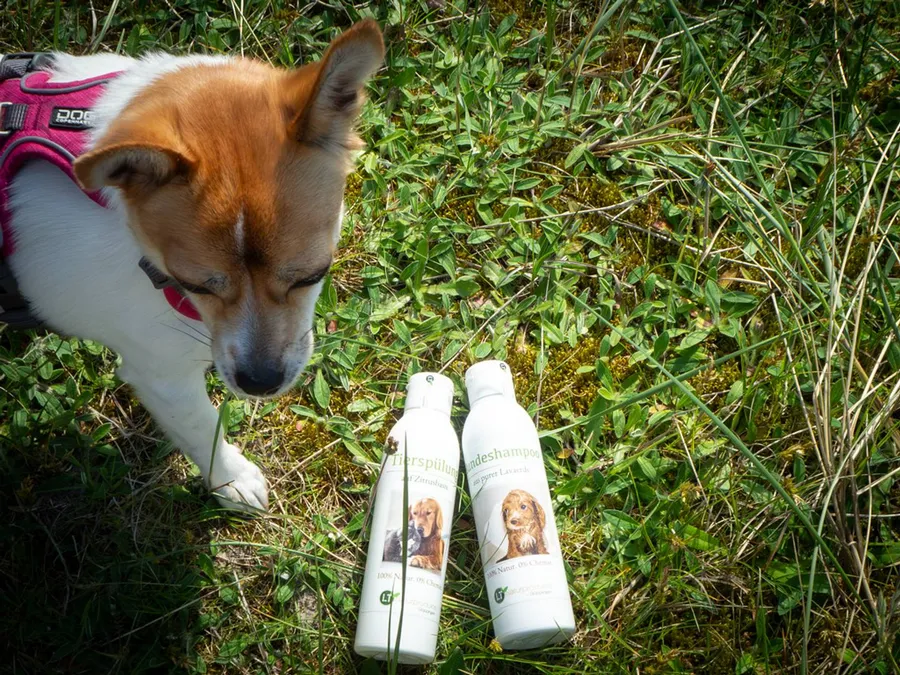 2024-07-10---hundeshampoo-soundsvegan-com-1-jpg-imagine-080808_60643c_1024_768