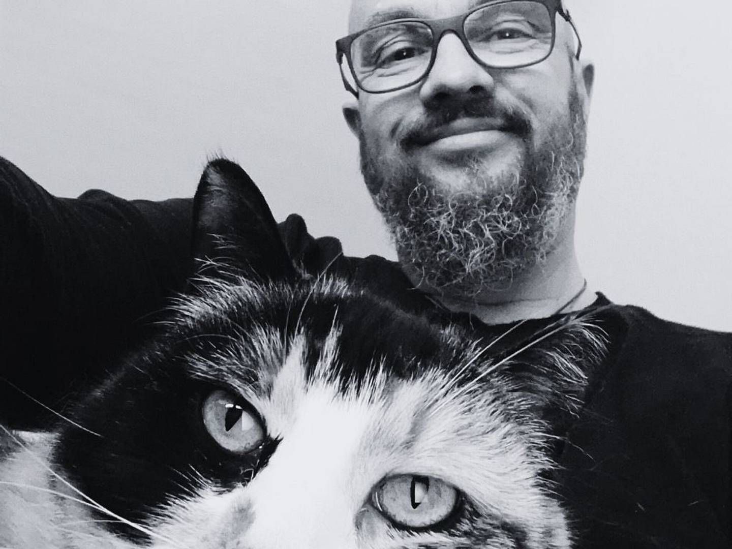2024-08-07---frank-aka-niere-interview-soundsvegan-com-jpg-imagine-181818_7a7c80_1024_768