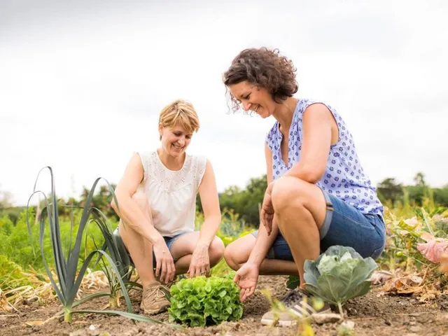 Meine Ernte