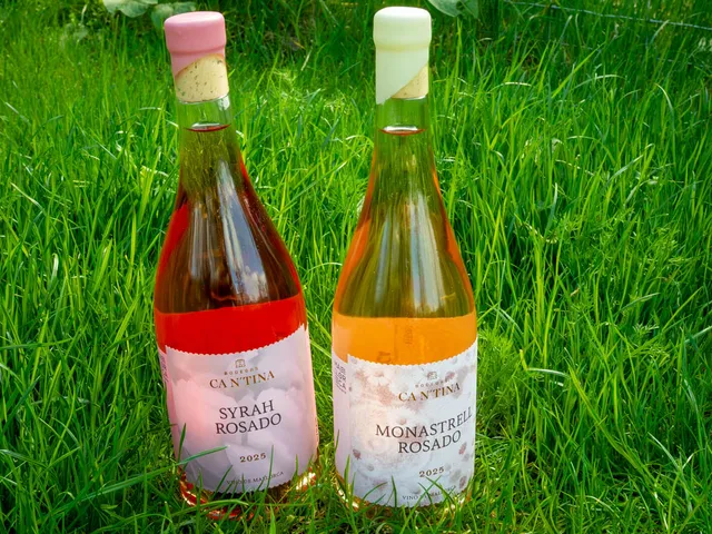 Vegane Weine von BODEGAS CA N´TINA