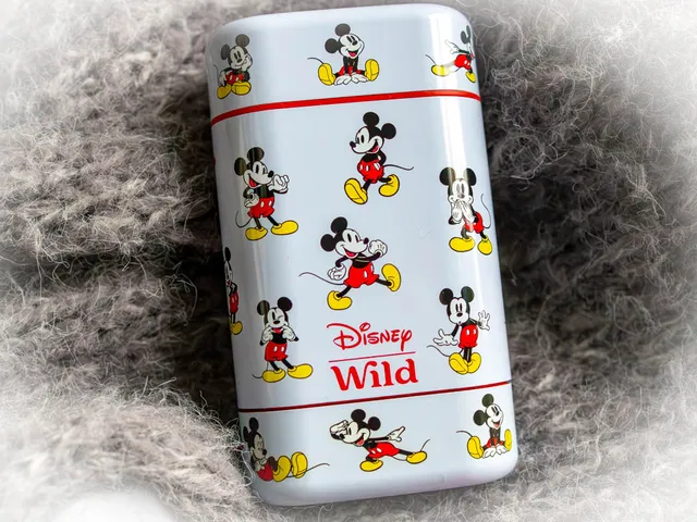 Das neue Mickey-Case von WILD Cosmetics