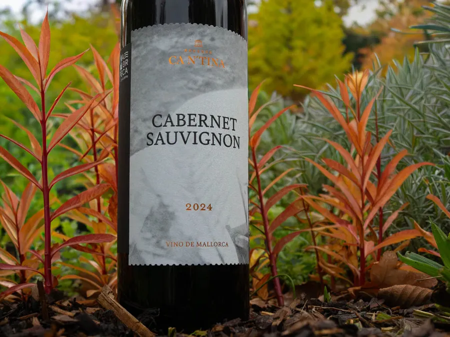 Ein veganer Rotwein aus dem Norden Mallorcas