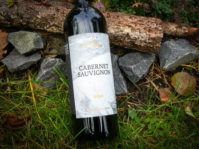 Cabernet Sauvignon 2024 von BODEGAS CA N'TINA