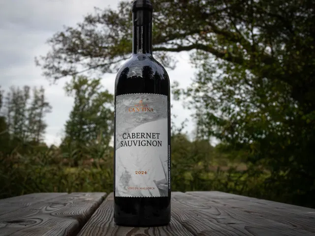 Cabernet Sauvignon 2024 von BODEGAS CA N'TINA
