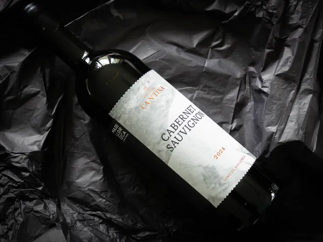 Cabernet Sauvignon 2024 von BODEGAS CA N'TINA