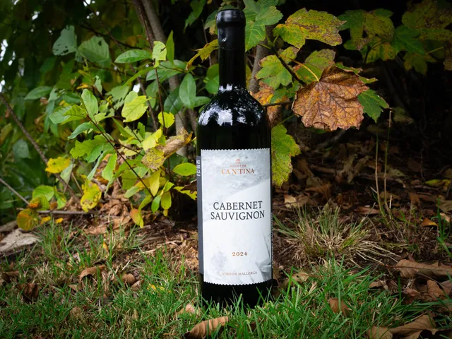 Cabernet Sauvignon 2024 von BODEGAS CA N'TINA