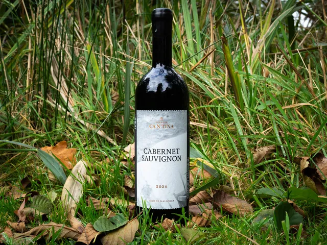 Cabernet Sauvignon 2024 von BODEGAS CA N'TINA