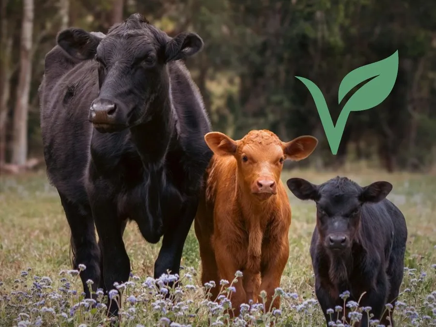 Weltvegantag 2026